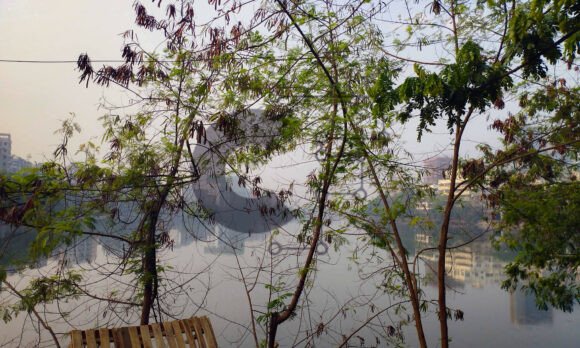 Misty Morning Lake by City Buildings