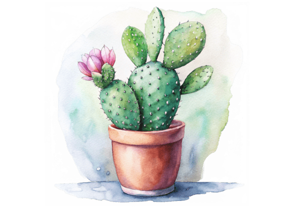 Watercolor Green Cactus Png Background